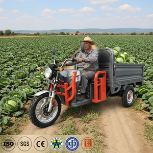 Triciclo Eléctrico EEC <span class=keywords><strong>de</strong></span> 3 Ruedas para <span class=keywords><strong>Transporte</strong></span> <span class=keywords><strong>de</strong></span> Carga y Pasajeros, Motocicleta para Adultos, Uso Agrícola, Venta Ambulante, Desplazamientos Diarios en <span class=keywords><strong>Europa</strong></span> - Product Image 6