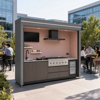 Ensemble de cuisine extérieure de luxe pour patio, armoire de cuisson modulaire résistante aux intempéries avec barbecue au gaz et au charbon, évier et hotte aspirante