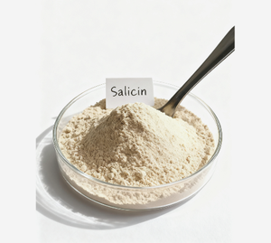 Polvo de extracto de corteza de sauce blanco de salicina para suplementos alimenticios Extracto de corteza de sauce blanco cosméticos 98% polvo de salicina - Product Image 1