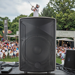 Altavoz PA Pasivo Ligero de 250W 8Ω 94dB con Carcasa de Plástico y Ruedas para <span class=keywords><strong>DJ</strong></span> Móvil y Eventos al Aire Libre - Product Image 4