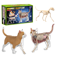 Modèle d'anatomie réaliste de chat bleu, jouet éducatif interactif STEM pour les démonstrations en classe de sciences et d'ingénierie