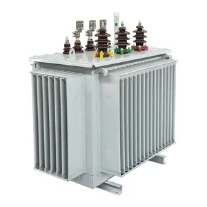 Máy Biến Áp Ngâm Dầu 450 Kva Nóng Máy Biến Áp Ethiopia