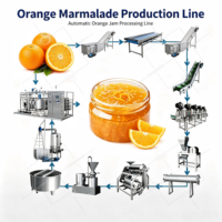 ORME Geoptimaliseerde Fruitjam Productielijn Graantype Rode Dadel Peer Mango Ananas Jam Fruitpuree Vulmachine