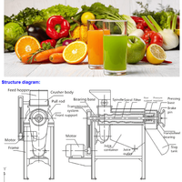 Extracteur de Jus Automatique à Pression à Froid, Machine à Jus Spirale pour Fruits (Mangue, Ananas, Orange, Citron, Gingembre) - Meilleures Ventes