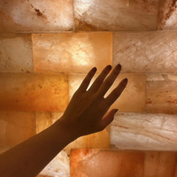 Blocs de sel de l'Himalaya Salle de spa Carreaux de sel Artisanat naturel Construction immobilière 20*10*5cm Briques de sel de l'Himalaya de Chine