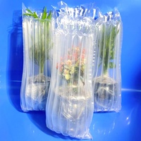 gonflables en rouleau, 2 pièces, écologiques, colonne de bulle d'air, protection de bouteille de vin, Film d'amortissement