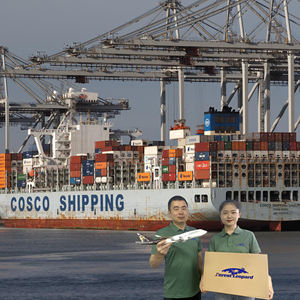 Assicurazioni Top 10 spedizionieri a <span class=keywords><strong>FELIXSTOWE</strong></span> 21 chilogrammi trasporto marittimo merci via mare/mare libero prezzo migliori tariffe di trasporto - Product Image 6