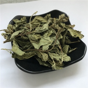 Feuilles de <span class=keywords><strong>menthe</strong></span> fraîchement récoltées, herbes séchées et thé à la <span class=keywords><strong>menthe</strong></span> <span class=keywords><strong>poivrée</strong></span> séchée - Product Image 2