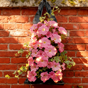 Borsa per <span class=keywords><strong>Piante</strong></span> Sospese Facile <span class=keywords><strong>da</strong></span> <span class=keywords><strong>Appendere</strong></span> e Mantenere, Ideale per Giardini Verticali Fai-<span class=keywords><strong>da</strong></span>-Te, Disponibile in Nero e Verde - Product Image 2
