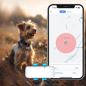 Collier GPS intelligent pour animaux <span class=keywords><strong>de</strong></span> compagnie, pour chiens et chats, étanche IP65, localisation en temps réel, 4G LTE, léger, portable, <span class=keywords><strong>localisateur</strong></span> d'animaux - Product Image 3