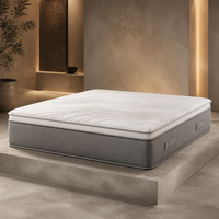 Matelas de dortoir étudiant compressé et roulé en mousse à mémoire de forme pour appartement équipé – Vente en gros de mobilier