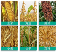 Décortiqueuse Grande Capacité pour la Séparation du Maïs, du Blé, du Riz et du Soja, Traitement des Céréales et Transformation des Matières Premières Agricoles