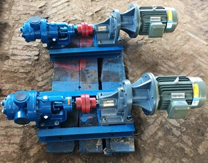 Bomba Rotativa Eléctrica de Malla Interna de Acero Inoxidable de Alta Resistencia Serie NYP para Fluidos de Alta Viscosidad con Reductor de Transmisión - Product Image 4