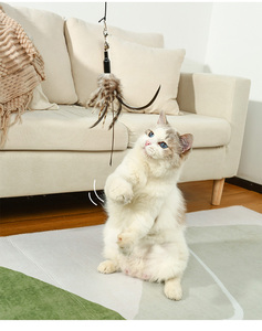 Intrekbaar Grappige Kattenhengel 1.8M Super Lange Hengel Kattenveer Speelgoed - Product Image 1