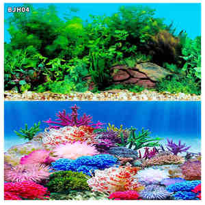 Hersteller <span class=keywords><strong>Aquarium</strong></span> Hintergrund Aufkleber Doppelseitiges <span class=keywords><strong>Aquarium</strong></span> Dekorative Bilder Unterwasser Hintergrund Dekor - Product Image 4