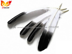 ZPDECOR <span class=keywords><strong>Piume</strong></span> d'Aquila Arrotondate d'Ala <span class=keywords><strong>di</strong></span> Tacchino <span class=keywords><strong>Bianche</strong></span> con Punta Nera all'Ingrosso dalla Fabbrica per Abiti da Festa a Tema Carnevale - Product Image 3