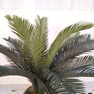 Alta calidad artificial bonsái de plástico plantas de sagú <span class=keywords><strong>cycas</strong></span> - Product Image 6