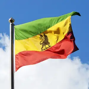 Bandiere rasta in poliestere resistente di alta qualità in fabbrica cinese bandiere etiopia con leone 3x5 FT
