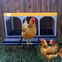Boîte de nidification pour poulets Haimu de bonne qualité pour usage domestique, élevage de volailles, équipement d'élevage de poulets