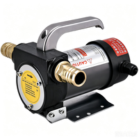 Pompe à carburant diesel 12V DC 24V auto-amorçante portable à haut débit en fonte pour tracteur et véhicule CE OEM