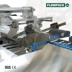 Machine d'emballage de poulet manuelle semi-automatique bon marché machine d'emballage de poulet frais congelé entier dakar ulma - Product Image 6