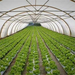 Le <span class=keywords><strong>film</strong></span> <span class=keywords><strong>de</strong></span> paillis agricole à grande échelle peut être un <span class=keywords><strong>film</strong></span> <span class=keywords><strong>perforé</strong></span> <span class=keywords><strong>Film</strong></span> noir agricole en matériau PE - Product Image 3