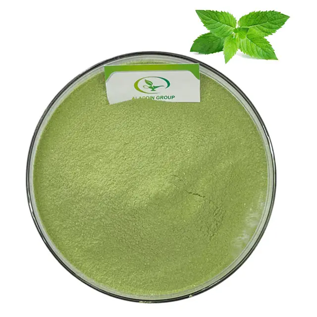 HALAL high quality food grade spearmint extract powder naturalpeppermint leaf powder /mint powder/spearmint powder