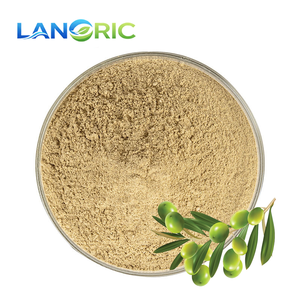 Экстракт листьев оливы Lanoric Supply CAS 32619-42-4 в порошке, 20%, 40%, 70% олеуропеин - Product Image 3