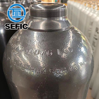 Iso9809-1 rechargeable 50l 300bar 229mm Tped oxygène azote argon hélium Co2 bouteille pour le marché brésilien