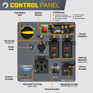 Champion 10KW kép nhiên liệu biến tần Máy phát điện cho nhà sao lưu Máy Phát Điện Xăng - Product Image 3