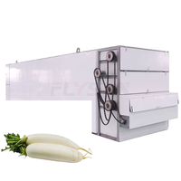 Industriële directe verkoop mesh-band droogmachine voor radijs, fruit, kiwi, rozijnen en kokosnoot