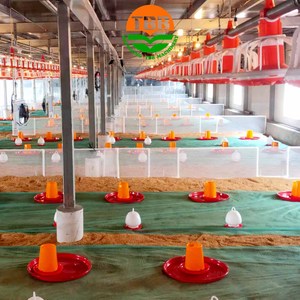 Equipo Moderno de Avicultura Totalmente Automático para la Cría de Pollos de Engorde, Gallinero/Casa de Pollos, Comederos Eficientes para Aves de Corral - Product Image 4