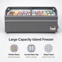 Congélateur et Réfrigérateur Électrique Commercial Compact à Double Porte en Verre à Refroidissement Direct pour Cuisine - Équipement de Réfrigération