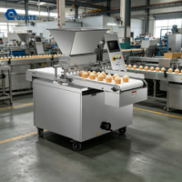 Machine à Biscuits et Gâteaux, Ligne de Production de Biscuits et Gâteaux de Petite Taille, Machine à Biscuits, Ligne de Fabrication de Biscuits