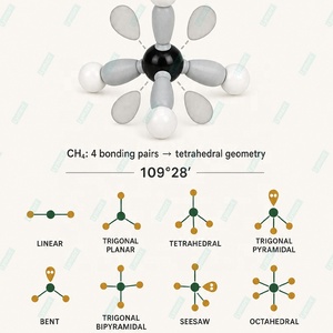 แบบจำลองโมเลกุล 57 ชิ้น ตามทฤษฎี VSEPR แบบ 3 มิติ แสดงวงโคจรอิเล็กตรอนไฮบริด และการไฮบริดของวงโคจร สำหรับ BeCl2, <span class=keywords><strong>BH3</strong></span>, CH4, <span class=keywords><strong>NH3</strong></span>, H2O, PCl5, SF6 - Product Image 2
