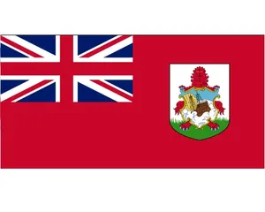 2x3 '100D bandiera Bermuda poliestere, 48h consegna rapida, orlo rinforzato a 4 linee, buona qualità, prodotto bandiera del paese