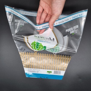 Sacchetti CPP Termosaldati per Alimenti con Stampa Rotocalco per Lattuga/Prezzemolo/Finocchio/Rucola/Orzolo/Albicocca/Senera/Verdure a Foglia Verde - Product Image 1