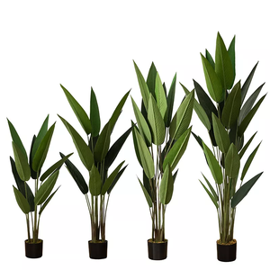 Vente en gros de bananes en pot, oiseaux de plantes de paradis, nouveau design décoratif pour la maison - Product Image 3
