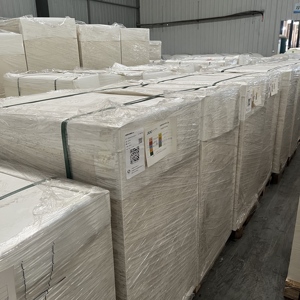 Papel Recubierto de PE de 150 g/m² a 350 g/m², Materia Prima para Vasos de Papel - Product Image 5
