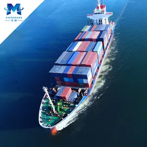 Shenzhen seconda mano Container trasporto marittimo Container 40ft in islanda