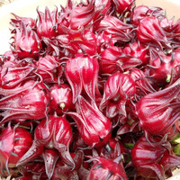 Fabrik preis Skate Hibiscus Roselle Samen getrocknete Roselle