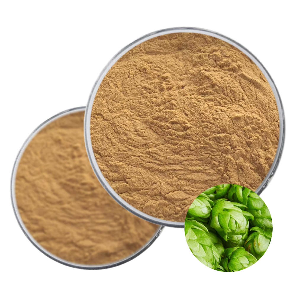 Оптовая цена, чистый сухой экстракт хмеля, порошок, экстракт цветов пива, экстракт цветов хмеля