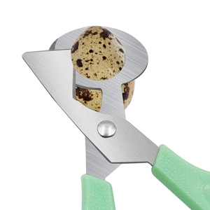 Batidor de Acero Inoxidable para Cortar Huevos, Herramienta de Cocina, Cortador de Cáscara de Huevo, Codorniz, Paloma, Abridor de Pájaros, 1 Unidad - Product Image 3