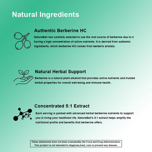 Cápsulas de Berberina HCl OEM, 120 Unidades, Apoya la Función Inmunológica, Vegano, Sin OMG, Sin Gluten, Suplemento Dietético - Product Image 5