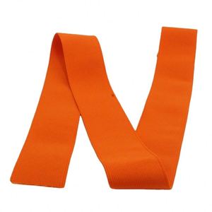 Colorful Flat Woven Elastic Band Shiny Underwear Nylon Spandex Elastic Band for <b>Boxer</b> Web Band - Product Image 1