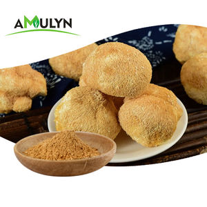 AMULYN 100% organico hericium Erinaceus polisaccaridi 30% idrosolubile leoni criniera fungo estratto Beta glucano 30% polvere - Product Image 2