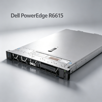 Appareil informatique optimisé à une seule prise de serveur, prenant en charge le traitement parallèle massif et les services cloud PowerEdge R6615