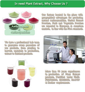 Longze avrupa yabanmersini meyve özü tozu antosiyanin yabanmersini özü - Product Image 6