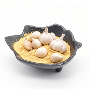 Mélange de superaliments verts végétaliens OEM à l'<span class=keywords><strong>ail</strong></span> sauvage biologique, 5% <span class=keywords><strong>d</strong></span>'extraction liquide-solide, poudre <span class=keywords><strong>d</strong></span>'<span class=keywords><strong>ail</strong></span> cultivée de manière durable - Product Image 2