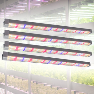 Tùy chỉnh quang phổ đầy đủ có thể điều chỉnh độ sáng màu đỏ cao 120W 150W 4ft phát triển ánh sáng dưới tán cây dẫn cho vi Xanh - Product Image 1